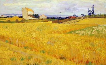 麦田 Wheat Field with Sheaves