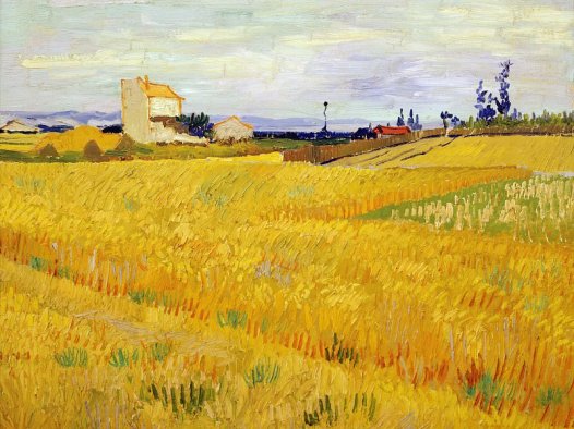 麦田 Wheat Field with Sheaves