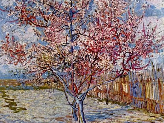 Peach Tree in Bloom (in memory of Mauve)